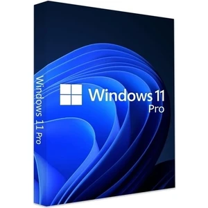 Windows 11 Pro Dijital Lisans