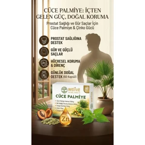 Welıve Cüce Palmiye 60 Cap