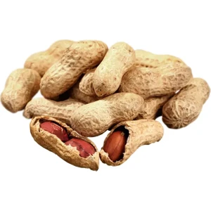 Glutensiz Kabuklu Yer Fıstığı