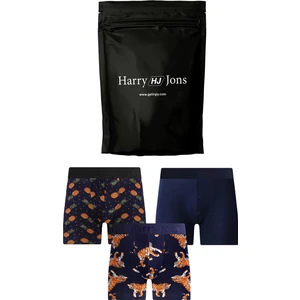 Harry Jons Erkek 3'lü Boxer