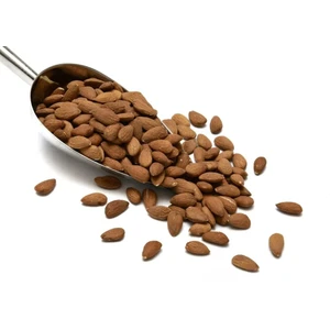 Glutensiz Badem Kavrulmuş