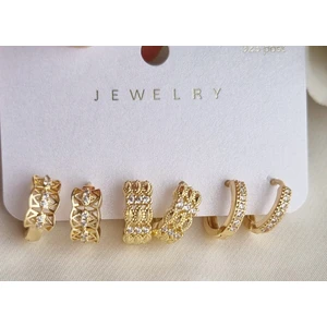 Premium Paslanmaz Çelik 6'lı 14K Gold Küpe