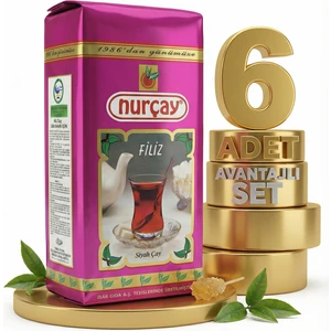 Filiz 6x500 GR