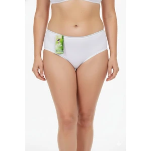 Wear Treasure Kadın 3'lü Paket Bambu Külot