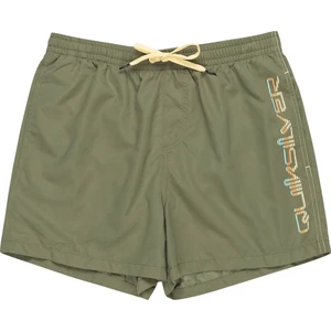 Behind Waves Erkek Yeşil Volley Short