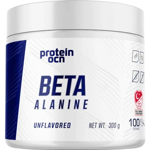 FLAVA BETA ALANİNE - 300g - 100 servis