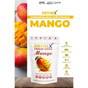 Dondurularak  Kurutulmuş Dilim Mango