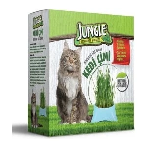 Kedi Çimi Kutulu (Fileli)