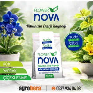 Flower Nova