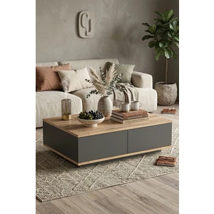 Robin Home Loft Orta Sehpa 2 Kapaklı Çam-Antrasit