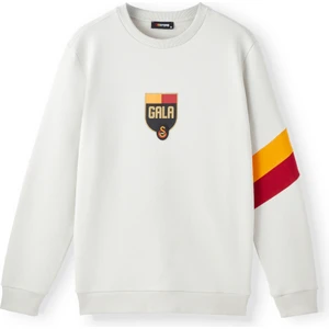 Gs Store Galatasaray Erkek Sweatshirt E252106