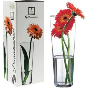 Botanıca Cam Vazo 26 cm