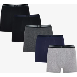 Erkek Urban Line 5'li Boxer