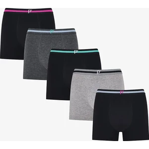 Erkek Renkli Classic Core Çoklu Boxer