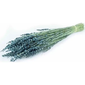 Flowerybox Kuru Çiçek  Şoklanmış Lavanta Mavi