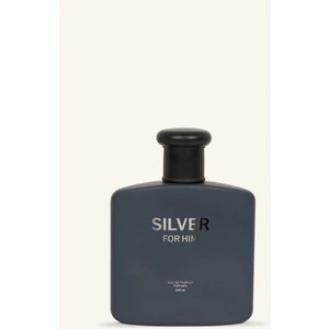 Erkek 100 ml Silver Parfüm H1464AXNS