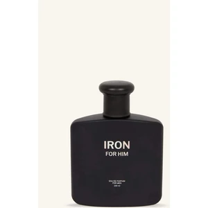 Erkek 100 ml IRON GREY Parfüm H1464AXNS