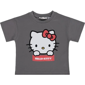 Hello Kitty 2-5 Yaş Tişört - Gri
