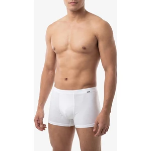 Men Silver Erkek Boxer 9310