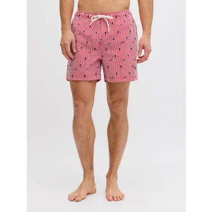 Jack & Jones Breeze Erkek Mayo Şort (12291425-TRD)