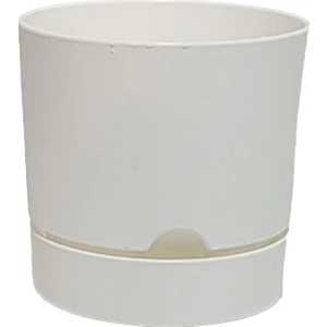 Begonya 9 cm Tabaklı Saksı 0,5 lt