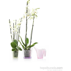 Şeffaf Orkide Saksı 2,2 Lt 180*170 Mm