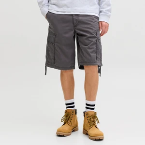Jack & Jones Erkek Rahat Kesim Sort - Cole