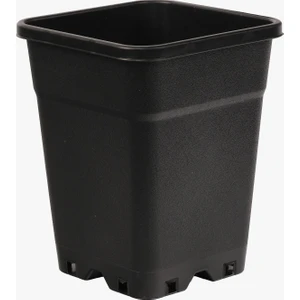 7 Litre Kare Saksı