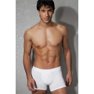 Beyaz Erkek Boxer 1767