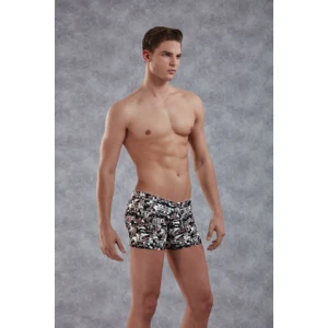 1891 Baskılı Boxer