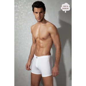 Beyaz Erkek Boxer 1509