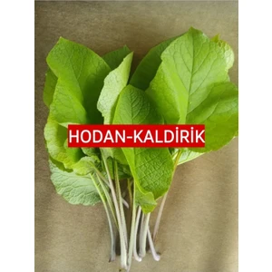 250 Gr. Hodan-Kaldirik-Ispıt Otu