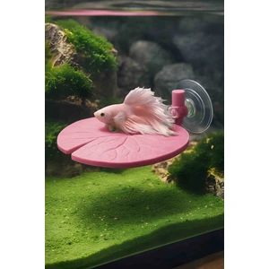 Beta Dinlenme Alanı