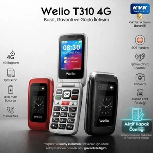 T310 4g