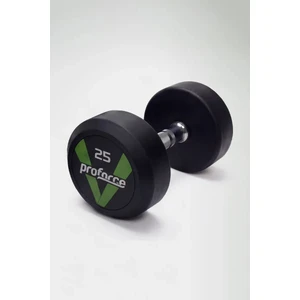 Dambıl Ağırlık 25 kg ( tek adet )