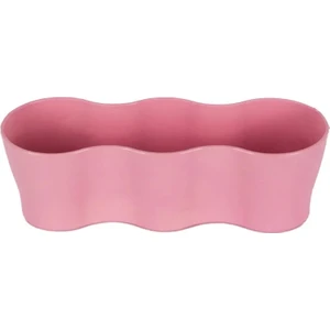 Üçlü Kaktüs Saksı 5,5 Cm
