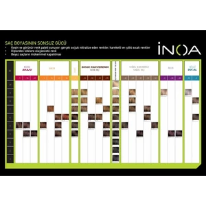 L'Oréal Professionnel İnoa 6.17 Saç Boyası