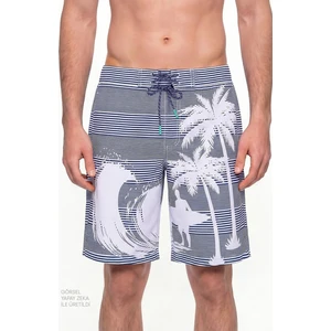 Erkek Lacivert Surf Revival Çizgili Şort