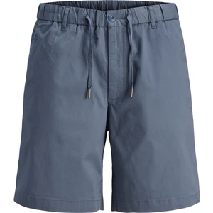 Jack & Jones Erkek Rahat Kalip Jogger Sort - Jaiden