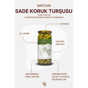 Sade Koruk Turşusu 500 G