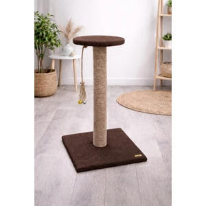 Loft Tırmalama Platformu
