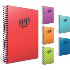 Punto Defter Spiralli Plastik Kapak A4 60 Yaprak Çizgili