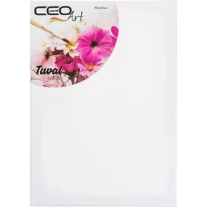 Ceoart Tuval 35x50 Düz