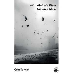Budala Kitap Melanie Klein, Melanie Klein!