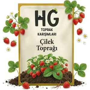 Hg Çilek Toprağı Özel Karışım