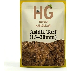 Hg Asidik Torf (15–30MM)