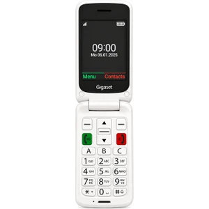GL595 Tuşlu Cep Telefonu