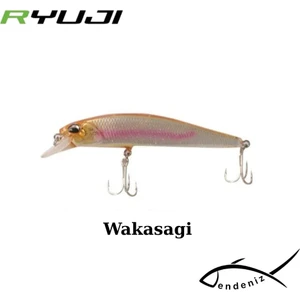 Ryuji Jerk Killer 9.5cm 15GR Maket Yem