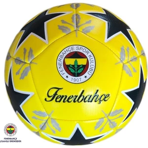 Lisanslı Futbol Topu