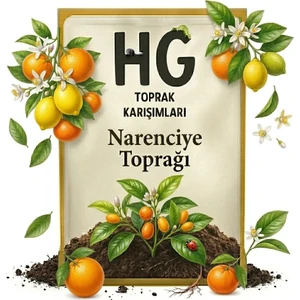 Hg Narenciye Toprağı